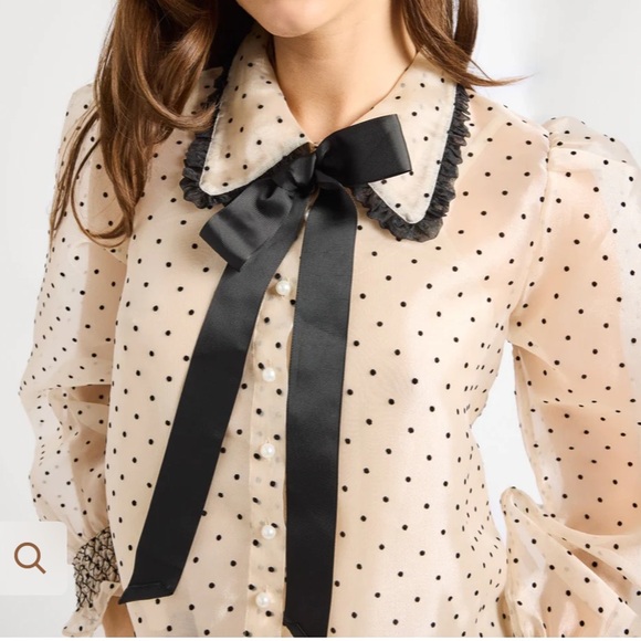 NWT MILLIE GRETA TOP IN ORGANZA DOT size s - Picture 1 of 7